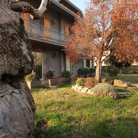 Отель Magnolia Савиньяно-суль-Рубиконе Экстерьер фото